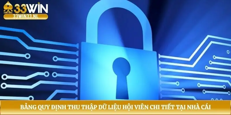 Bảng quy định thu thập dữ liệu hội viên chi tiết tại nhà cái
