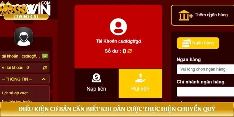 Điều kiện cơ bản cần biết khi dân cược thực hiện chuyển quỹ