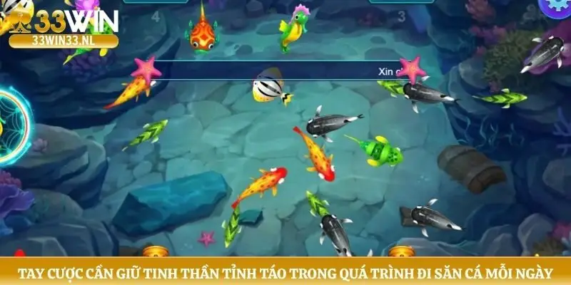 Tay cược cần giữ tinh thần tỉnh táo trong quá trình đi săn cá mỗi ngày